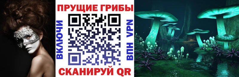 Галлюциногенные грибы GOLDEN TEACHER Барыш